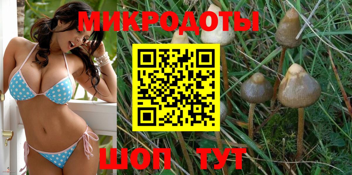Галлюциногенные грибы мухоморы  Галлюциногенные грибы мицелий  Вход с VPN  Барабинск 